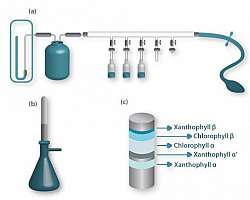 Análise de cromatografia hplc Análise de cromatografia hplc