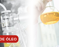 Serviço de consultoria de tratamento óleo isolante Serviço de consultoria de tratamento óleo isolante