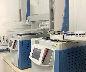 Análise de cromatografia gasosa Análise de cromatografia gasosa