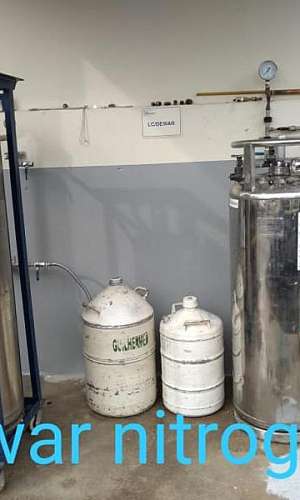 Nitrogênio gasoso Nitrogênio gasoso